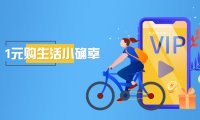 国内发行双标VISA卡一元购活动